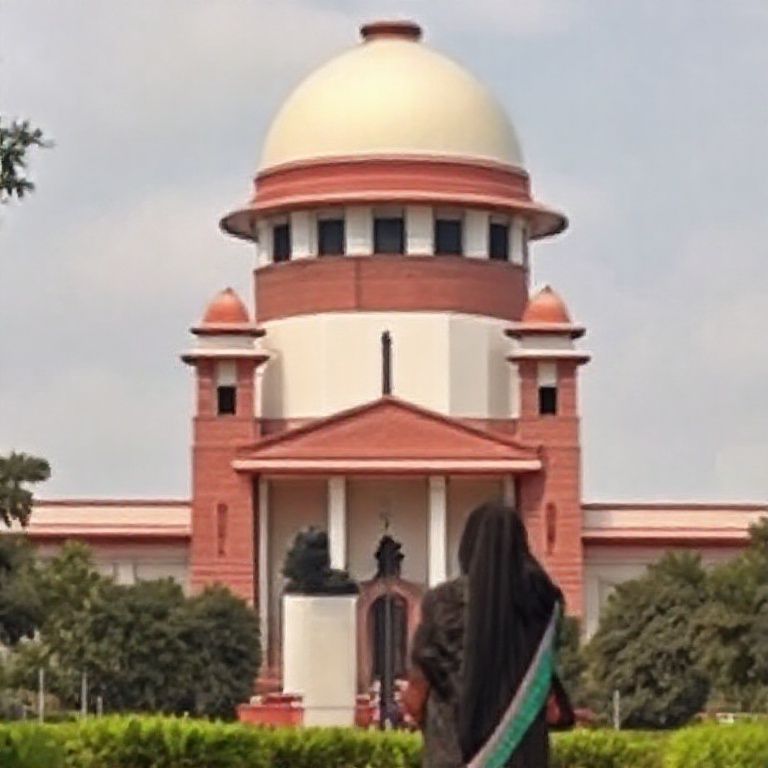 Supreme Court Permits Pregnant Woman's Return from Bangladesh